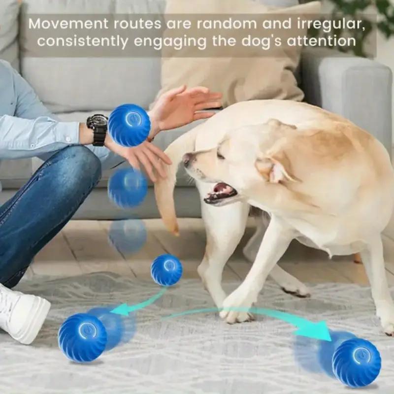 Bouncing Ball for dogs and cats