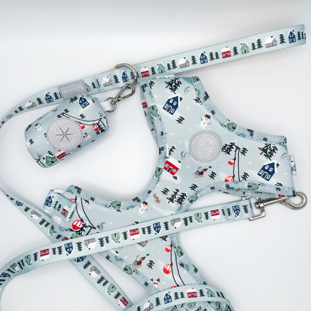 Snowy Slopes Leash