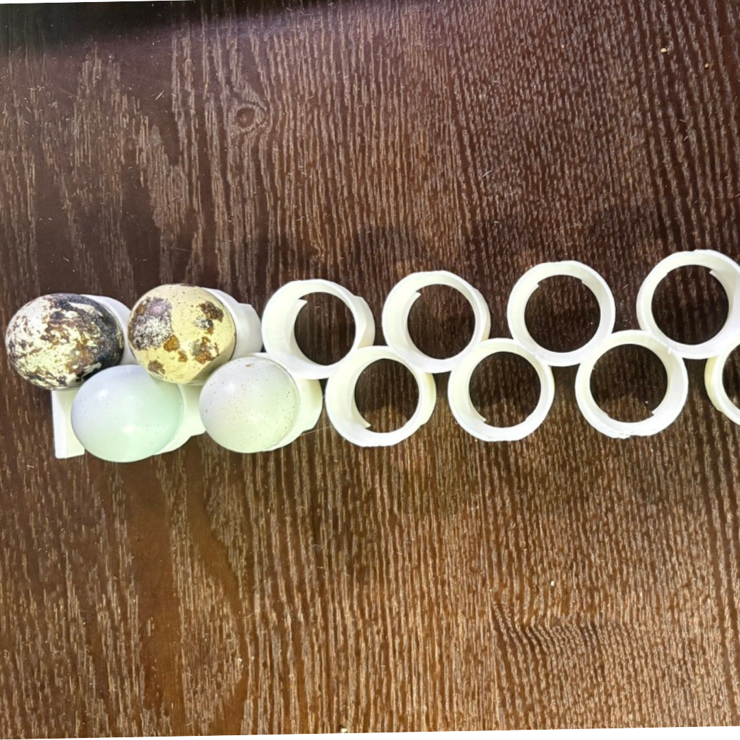 Jumbo Quail Egg Rails for Cimuka®/Hatching Time® Incubators (CT-Series)