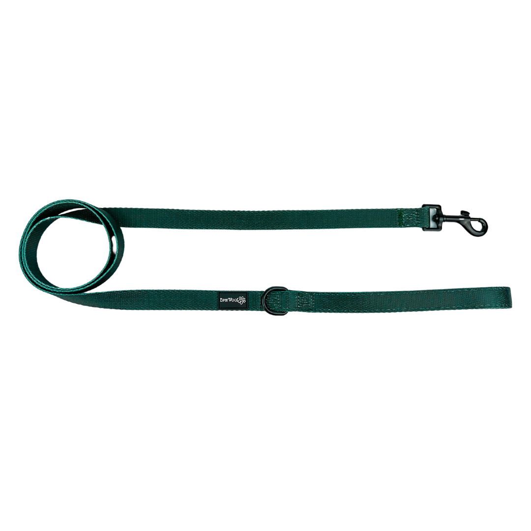 Evergreen Dream Leashes