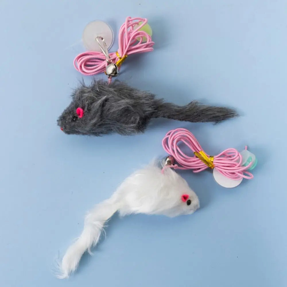 Hanging Swinging Cat Toy