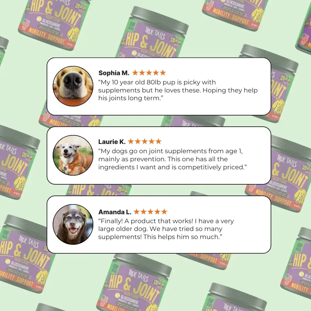 Hip & Joint With Hemp For Dogs 9oz Jar (120 count)