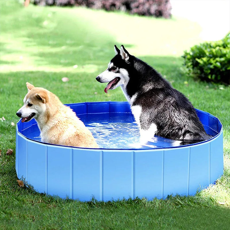 Foldable Dog Swimming Pool And Portable Pet Bathing Tub