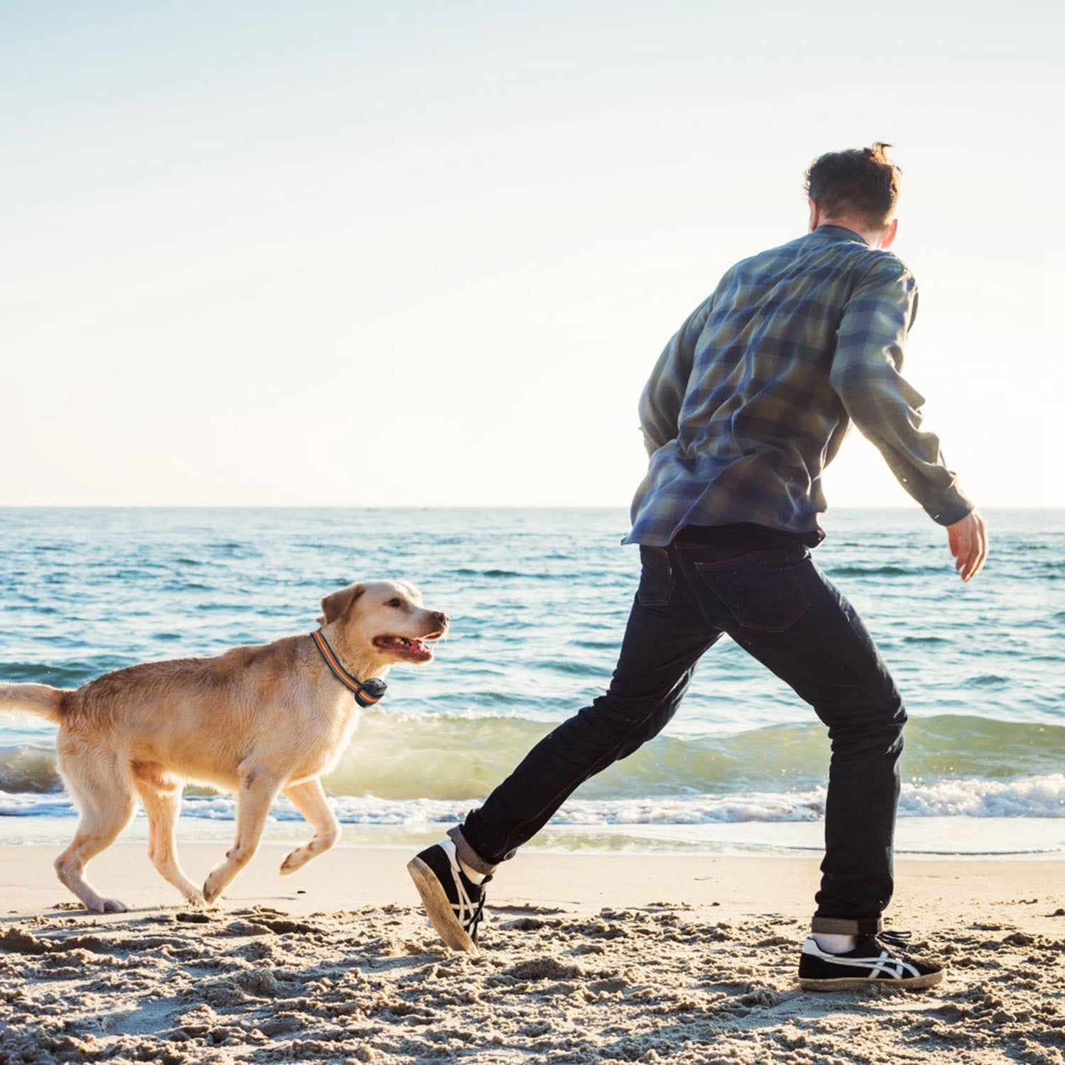 2 In 1 Dog GPS Fence Tracker Wireless, Dog Collar With 32-2887FT Radius IPX6 Waterproof For Small Medium to Large Dogs