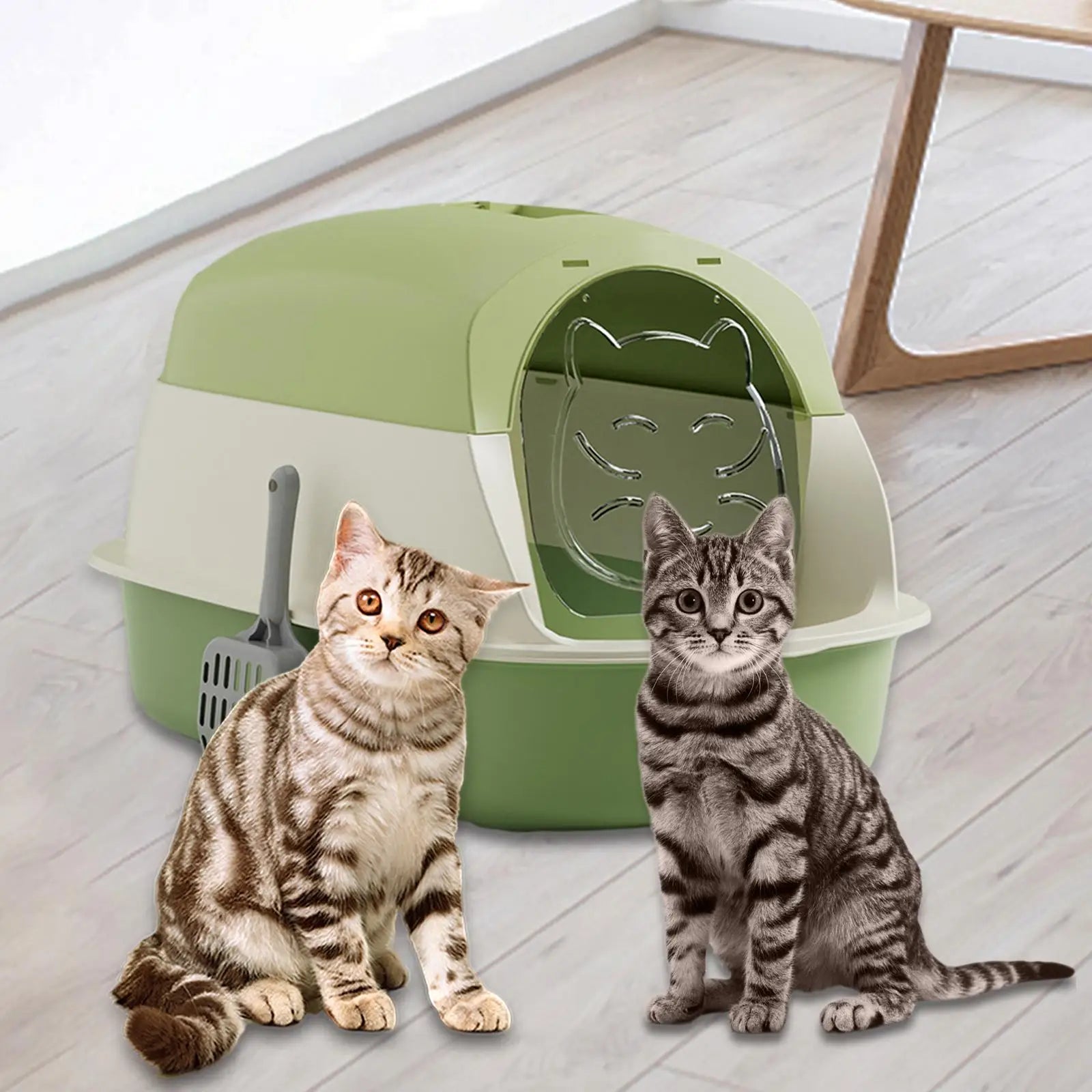 Hooded Cat Litter Boxes with Lid