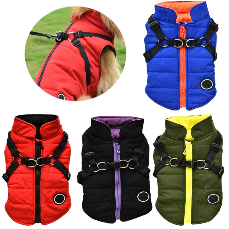 Winter Pet Jacket With Buckle