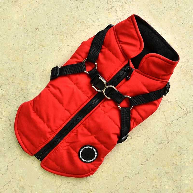 Winter Pet Jacket With Buckle