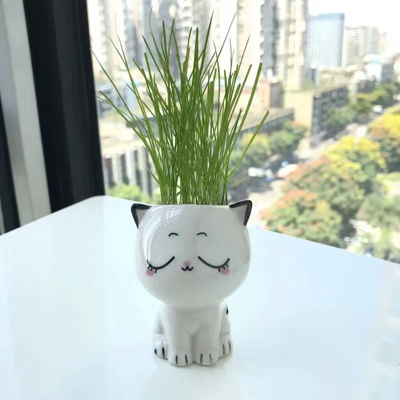 Mini Cat Ceramic Flowerpot