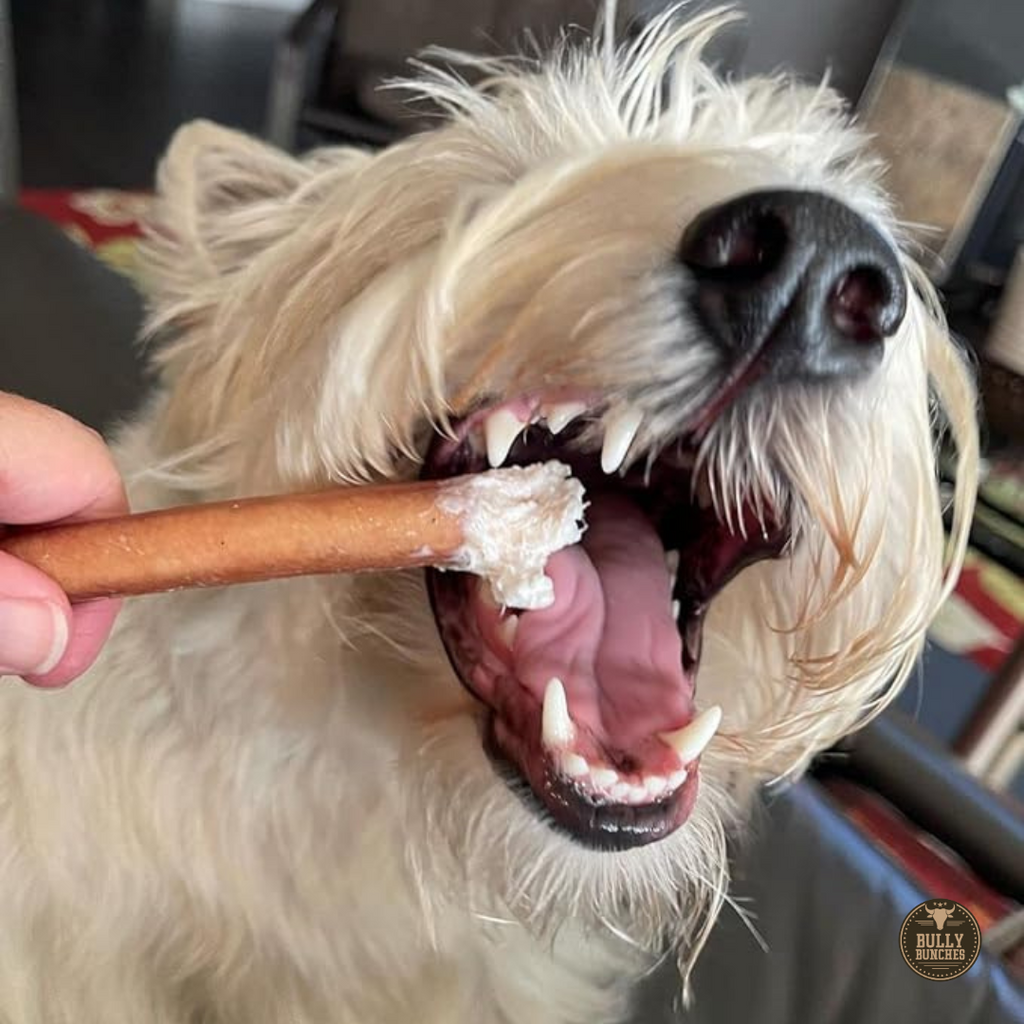 6 Inch Standard Bully Stick