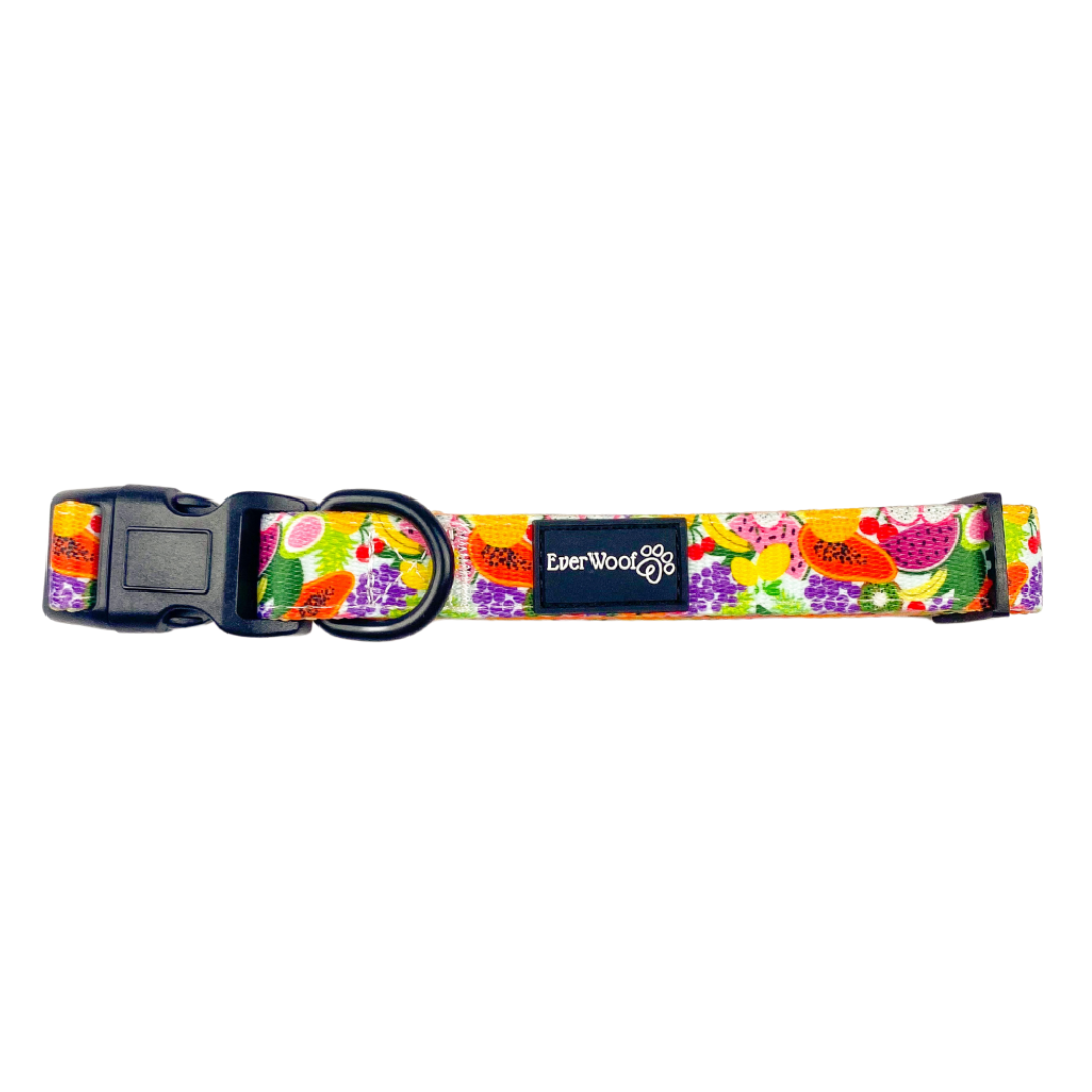 Tutti Frutti Collar