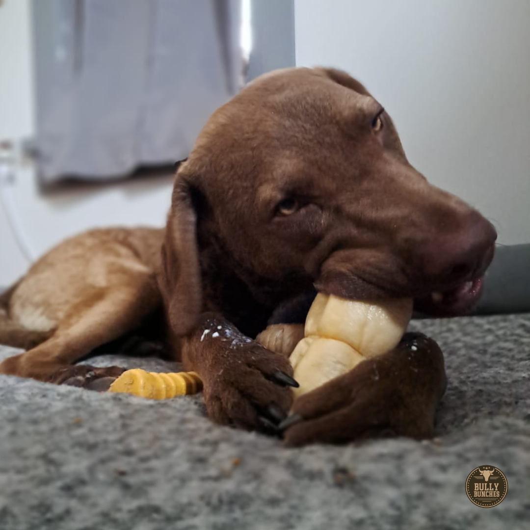 5-6 Inch Peanut Butter Cheek Roll