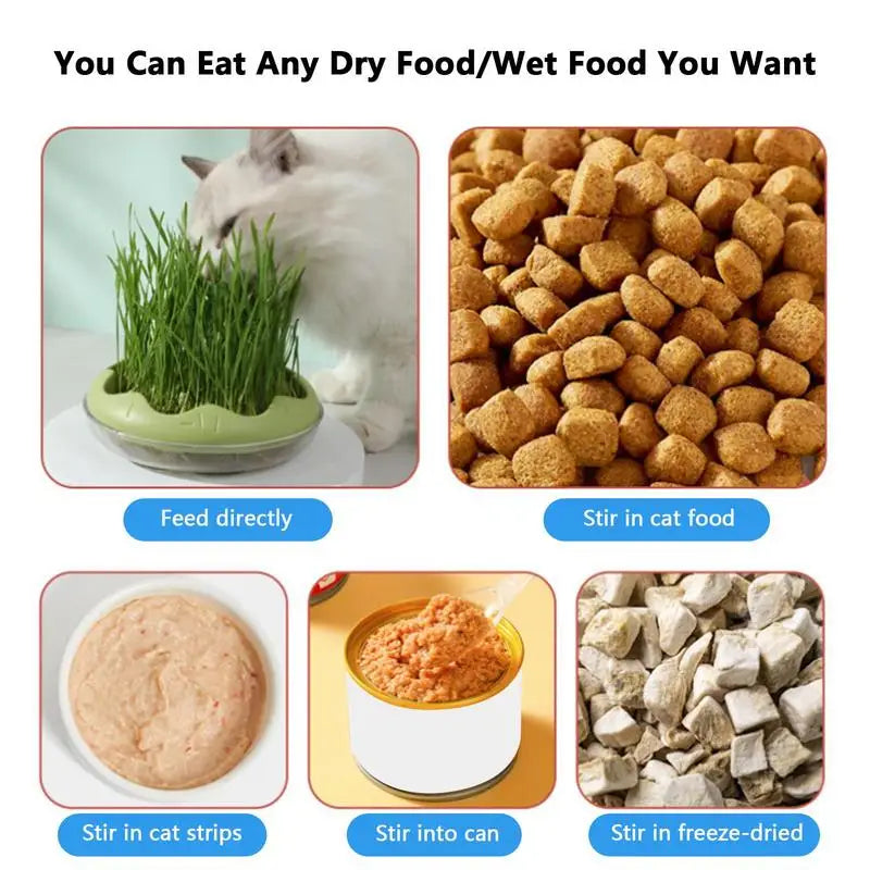 Donut Shaped Cat Grass Growing Box