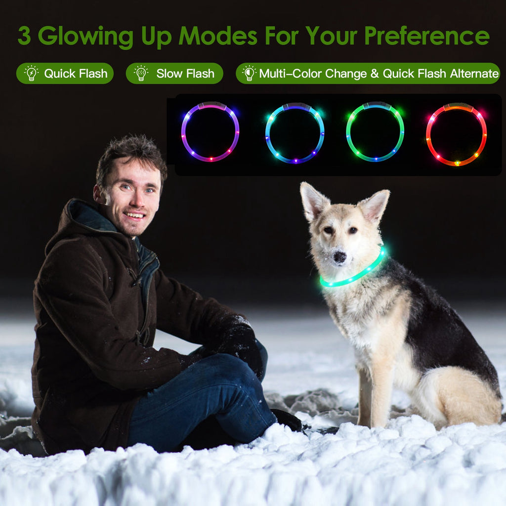 USB Rechargeable LED Dog Collar Multi Color