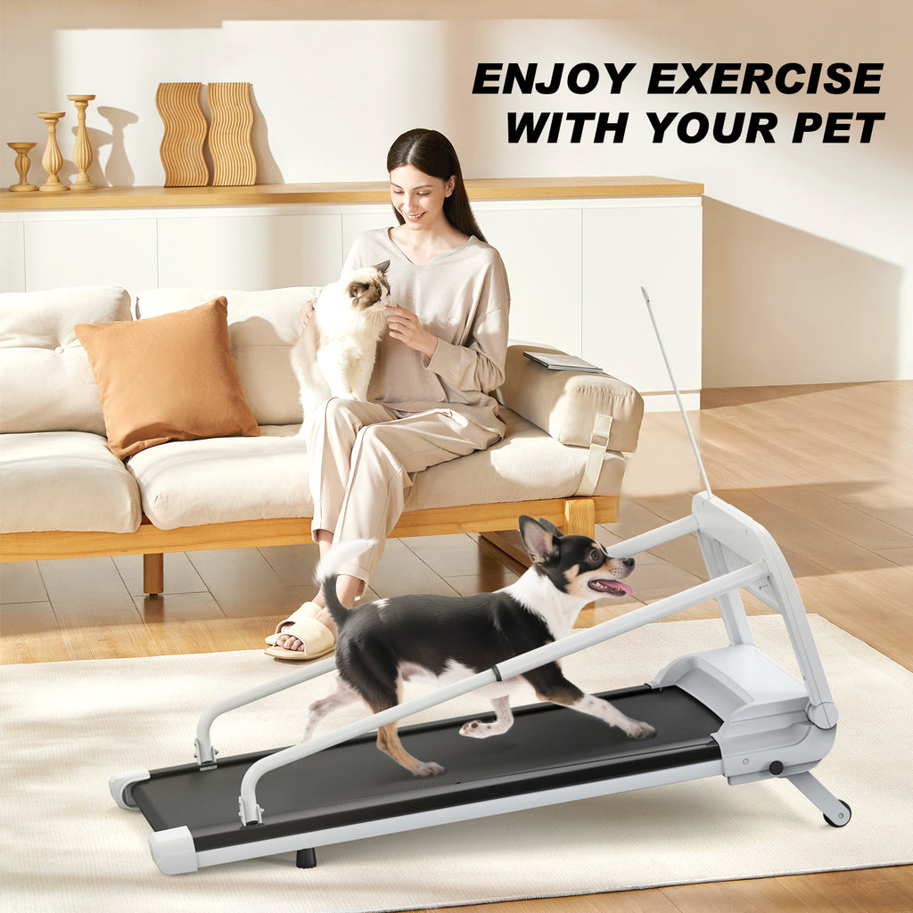 2025 New Quiet Smart Pet Treadmill, Adjustable Speed, Perfect For Small Medium Dogs