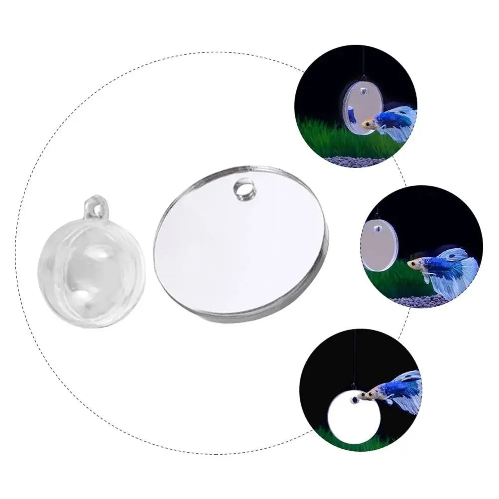 Betta Training Mirror Fish Tank Ornament