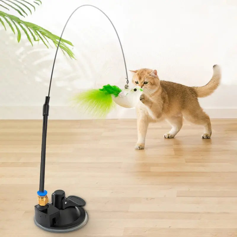 Interactive Cat Toy Feather Bird with Multiple Options