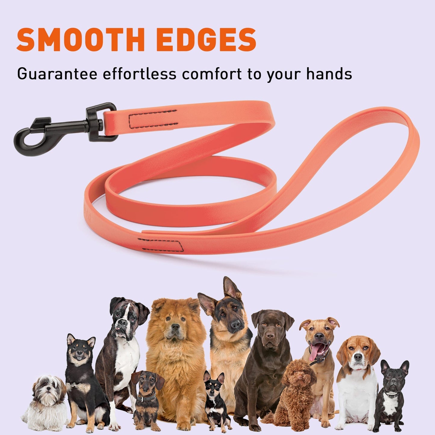 Biothane Waterproof Dog Leash, 4 ft