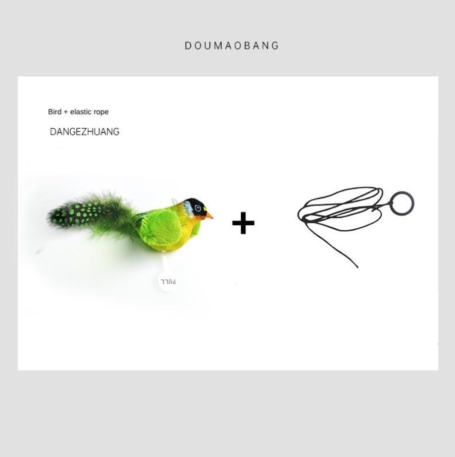 Parrot Cat Teaser Toy, Interactive