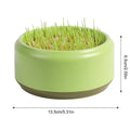 Hydroponic Box, Cat Grass Plant Bowl
