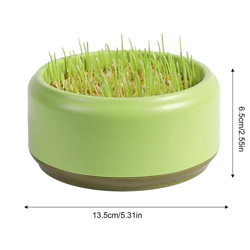 Hydroponic Box, Cat Grass Plant Bowl