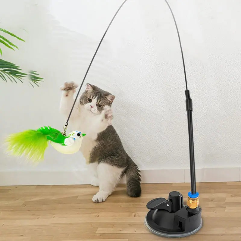 Interactive Cat Toy Feather Bird with Multiple Options