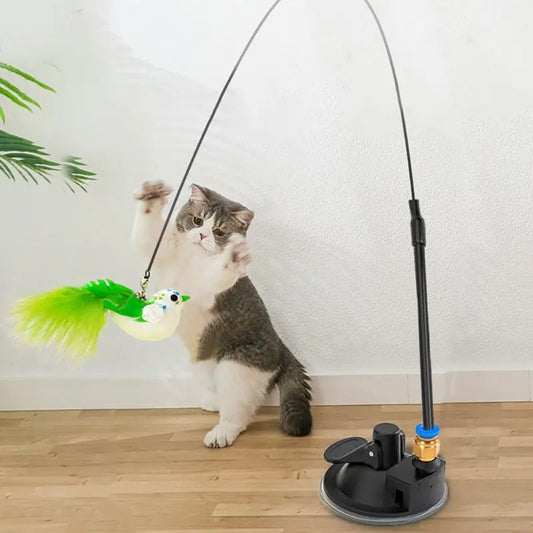 Interactive Cat Toy Feather Bird with Multiple Options