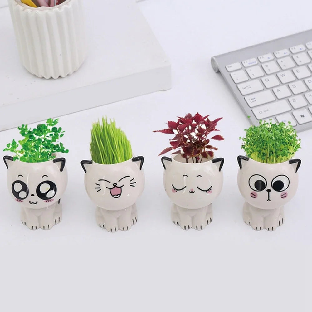 Mini Cat Ceramic Flowerpot