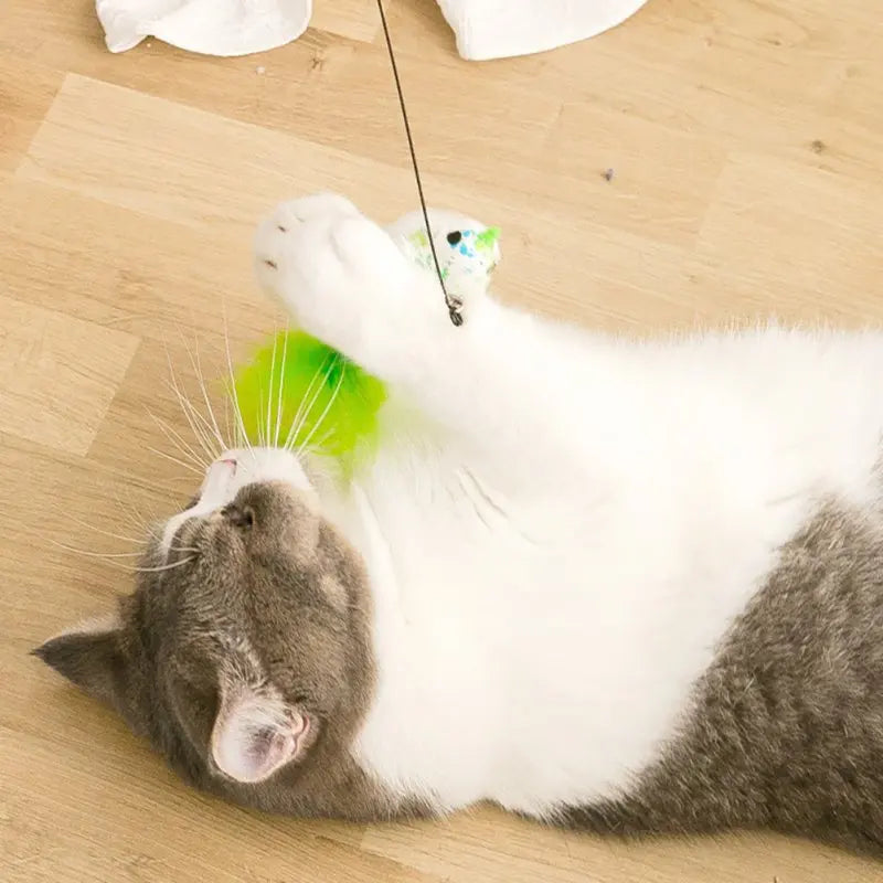 Interactive Cat Toy Feather Bird with Multiple Options