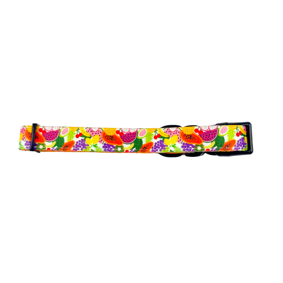 Tutti Frutti Collar