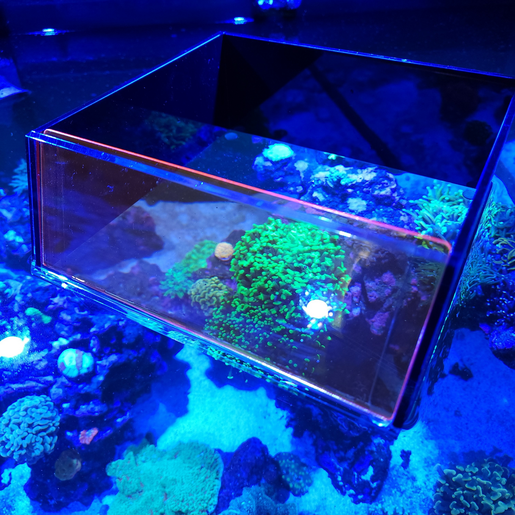 Top Down Viewer Zoa - 8" panel