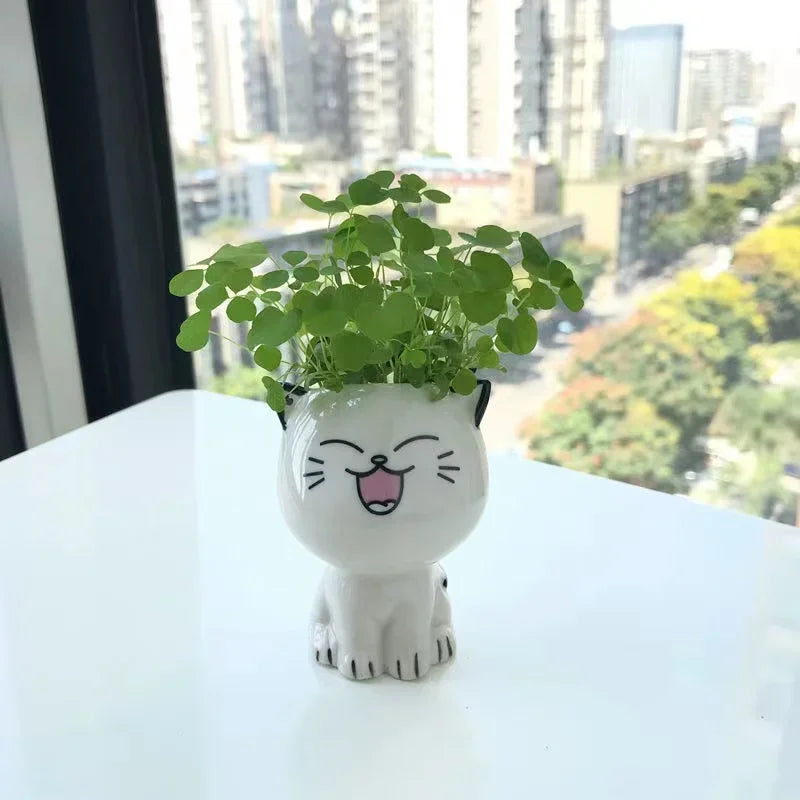 Mini Cat Ceramic Flowerpot