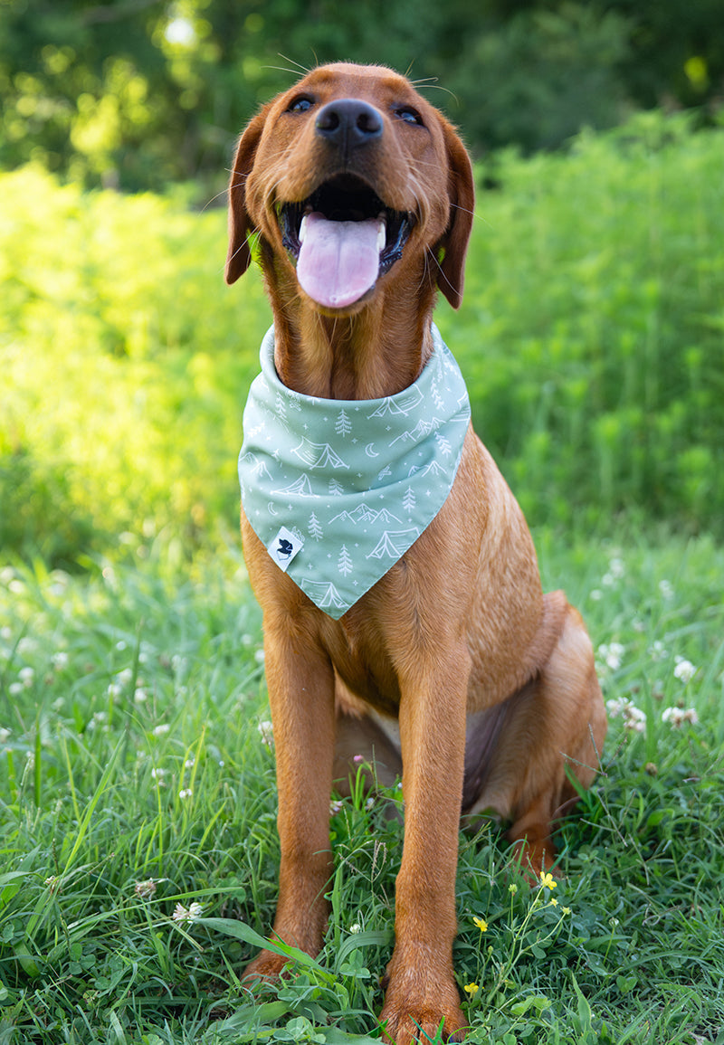 Camping & Smores Dog Bandana