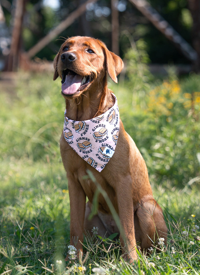 Camping & Smores Dog Bandana