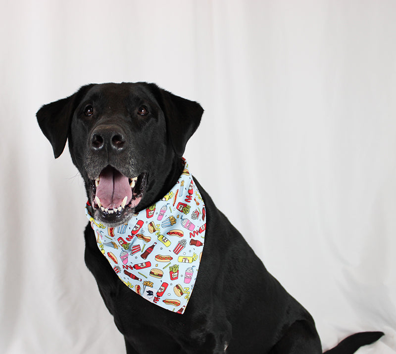 Pizza & Food Dog Bandana