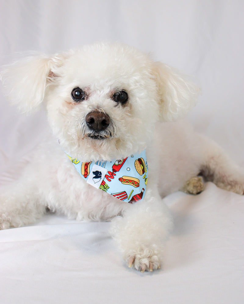 Pizza & Food Dog Bandana