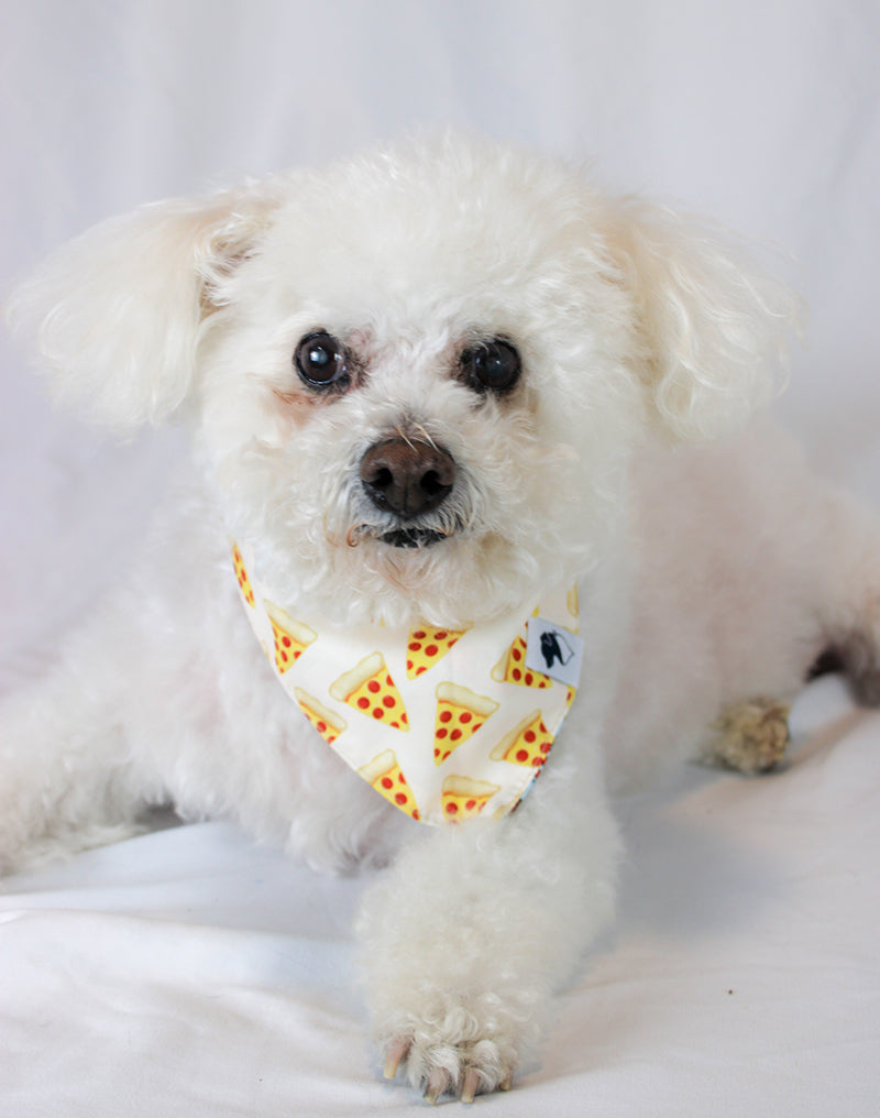 Pizza & Food Dog Bandana