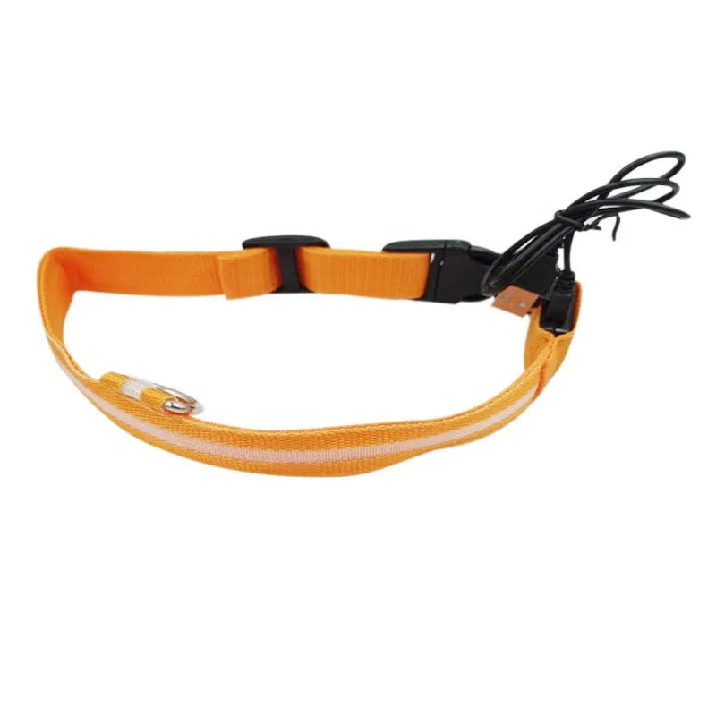Nylon LED Pet Dog Collar USB Charging