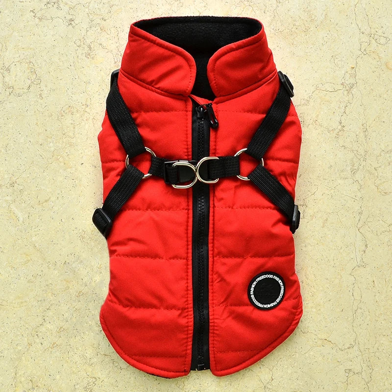 Winter Pet Jacket With Buckle