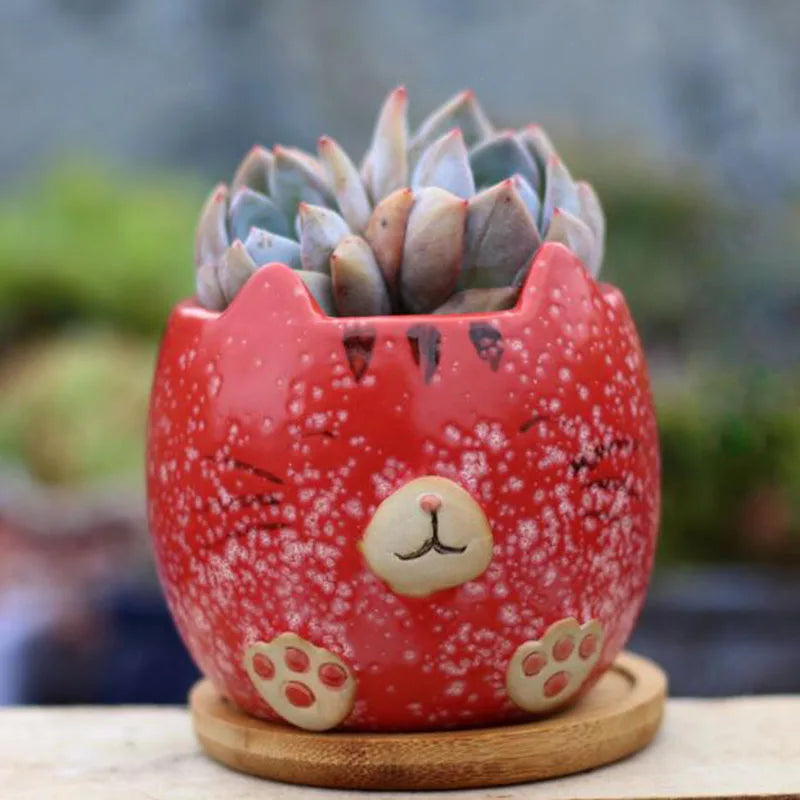 Cartoon Succulent Plant Pot Cat Animal Flowerpot4Pcs/Set
