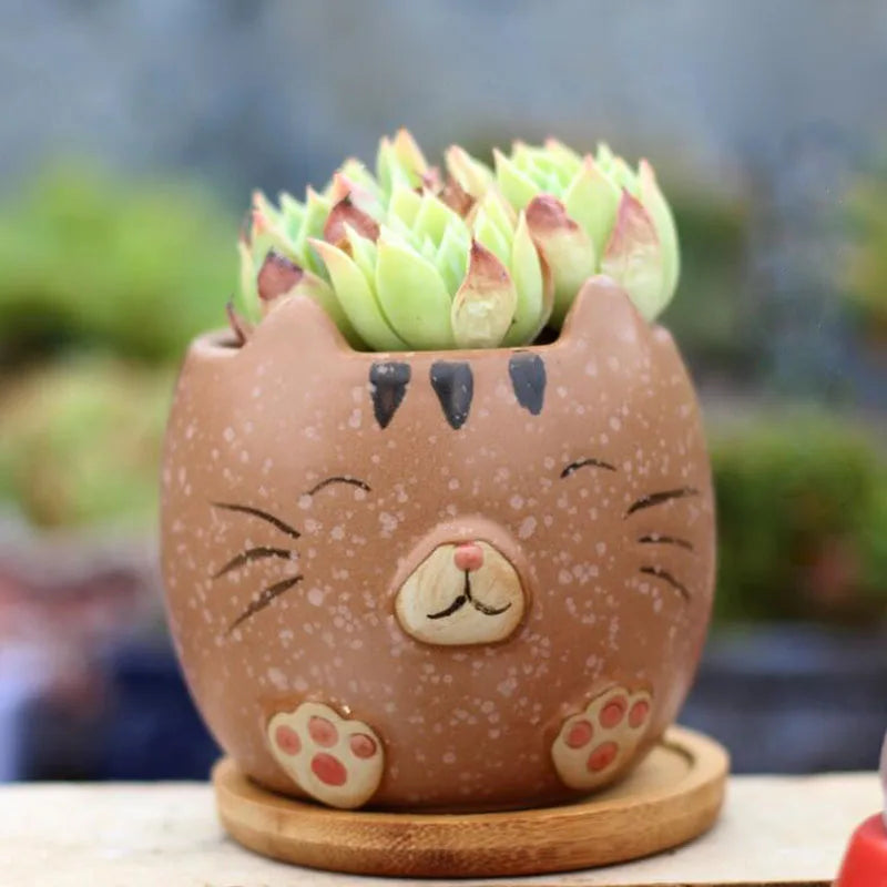 Cartoon Succulent Plant Pot Cat Animal Flowerpot4Pcs/Set