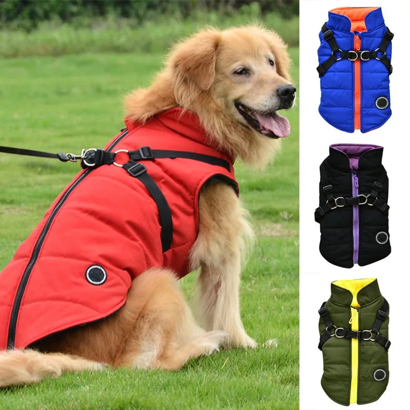 Winter Pet Jacket With Buckle