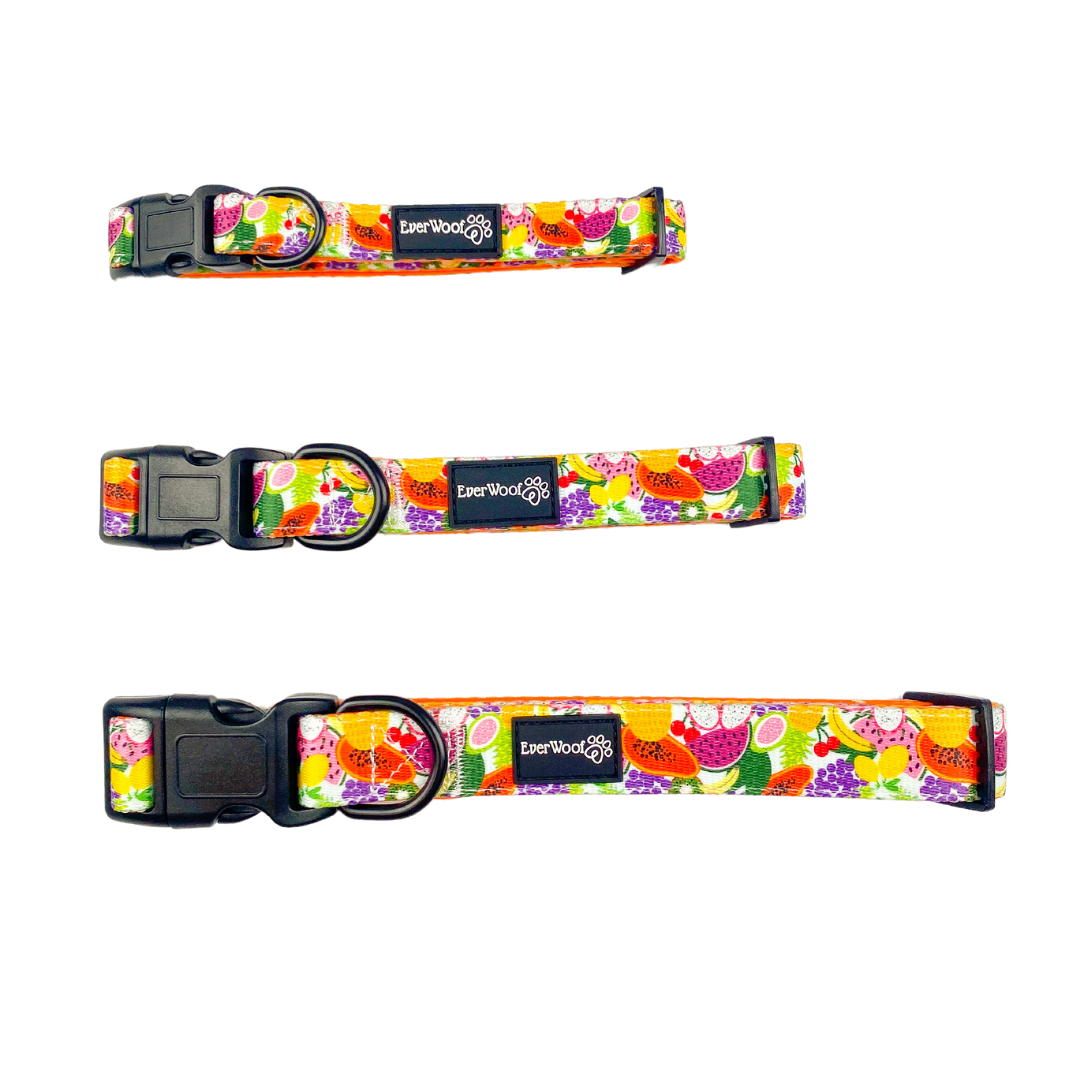 Tutti Frutti Collar