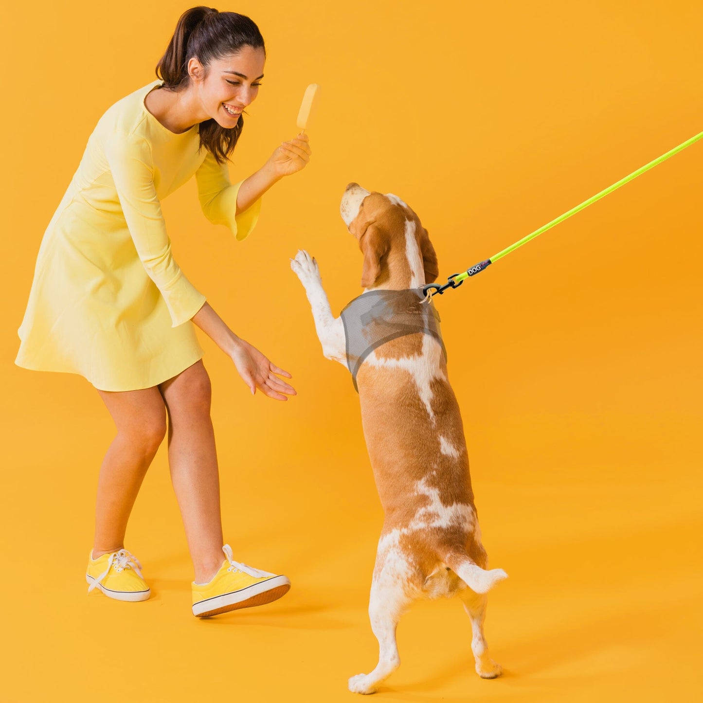 Nylon Round Dog Lead