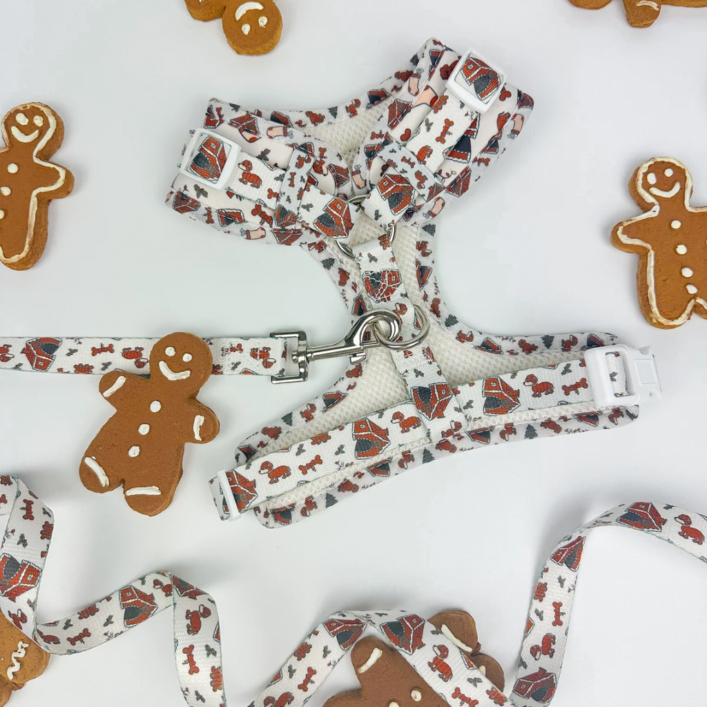 Oh Snap! Adjustable Harness