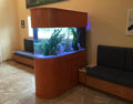 120 Gallon U-Shape Bullnose Peninsula Divider Glass Aquarium Reef-Ready in Premium Cherry Real Wood Furniture