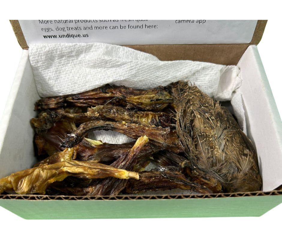 Quail Wing Dog Training Kit - Nutritious Dog Treats and Quail Wing for Effective Dog Training Sessions - Reinforce Positive Behaviors with Training Treats - Not Suitable for Small Breeds