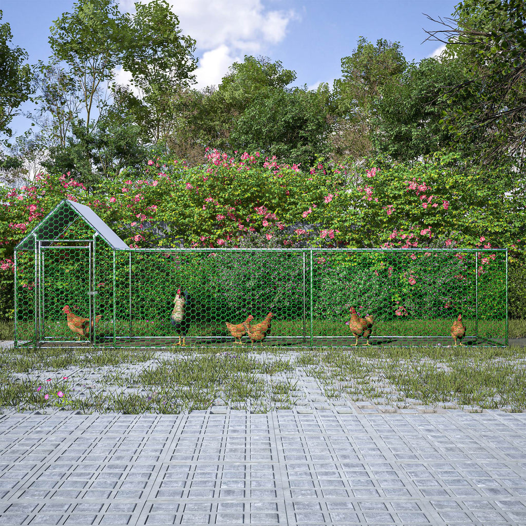 Metal Chicken Enclosure with Cover