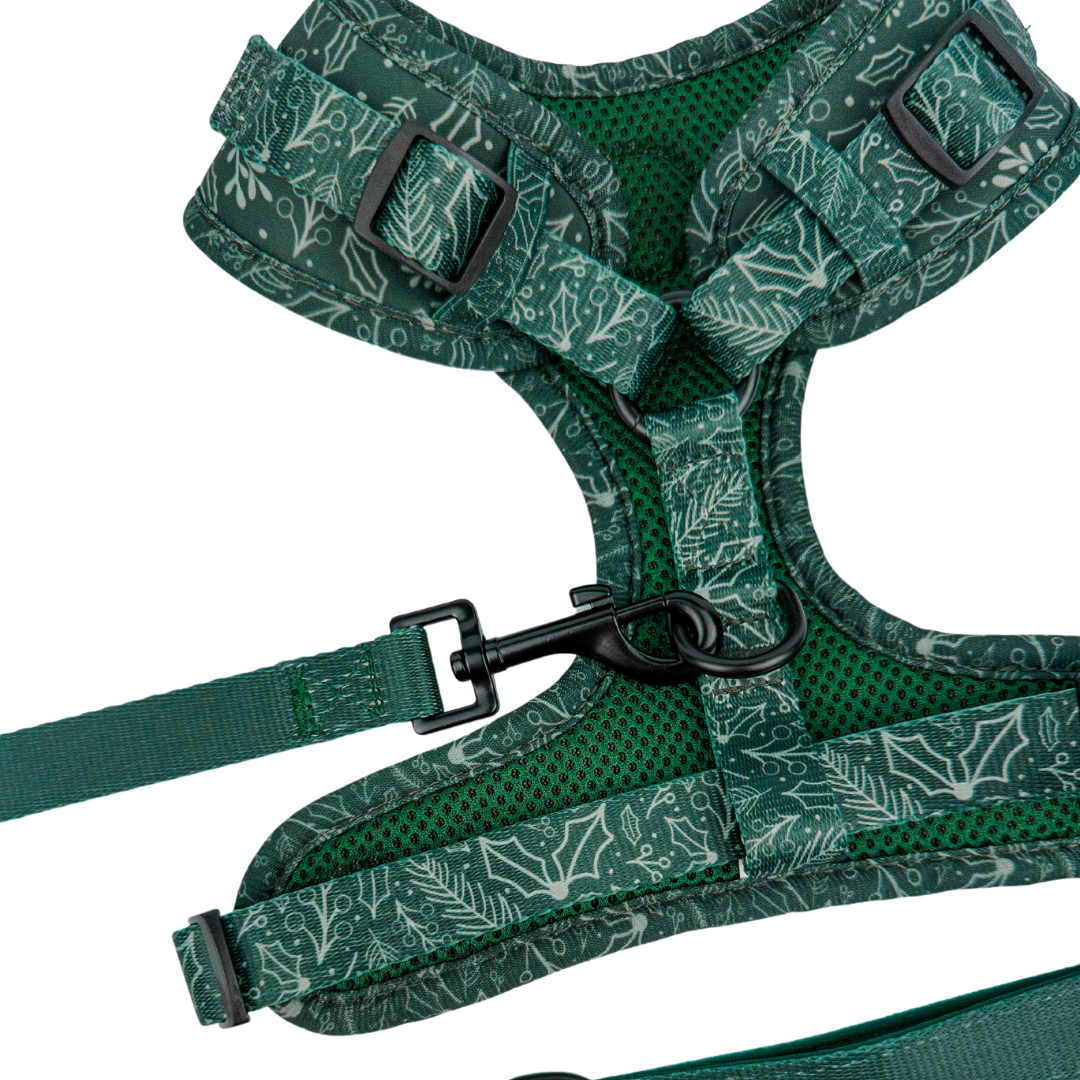 Evergreen Dream Adjustable Harness