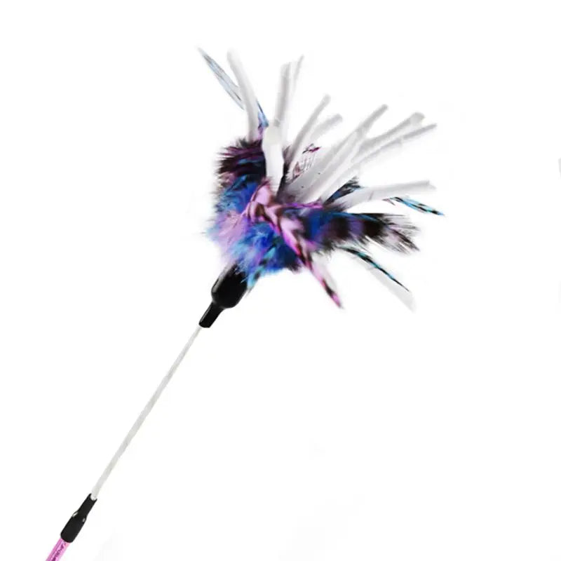 Interactive Cat Toy Feather Bird with Multiple Options