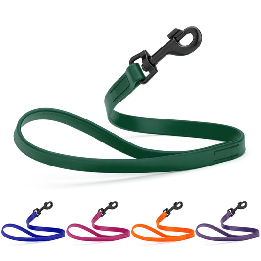 Biothane Waterproof Traffic Lead for Dogs, 2 ft